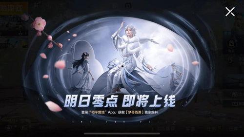 吃鸡世纪最新皮肤爆料视频,揭秘最新皮肤爆料，视觉盛宴即将来袭！